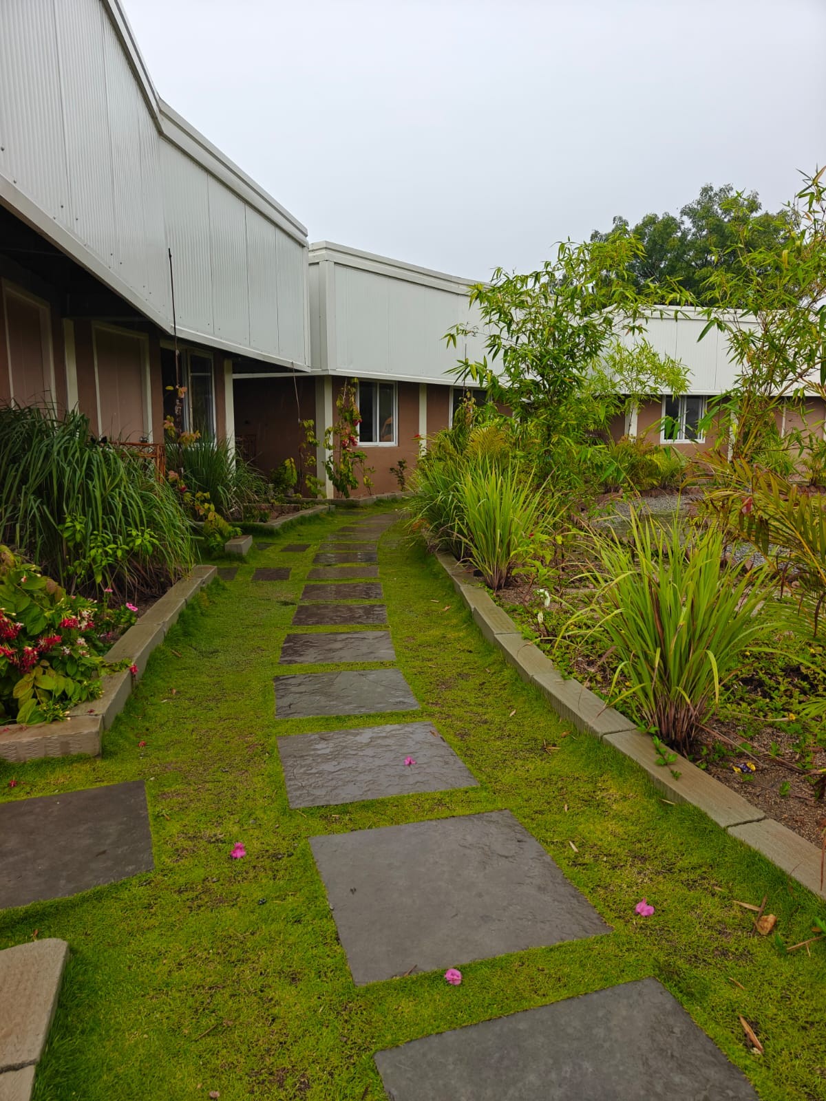 Life and learning at The Integral School