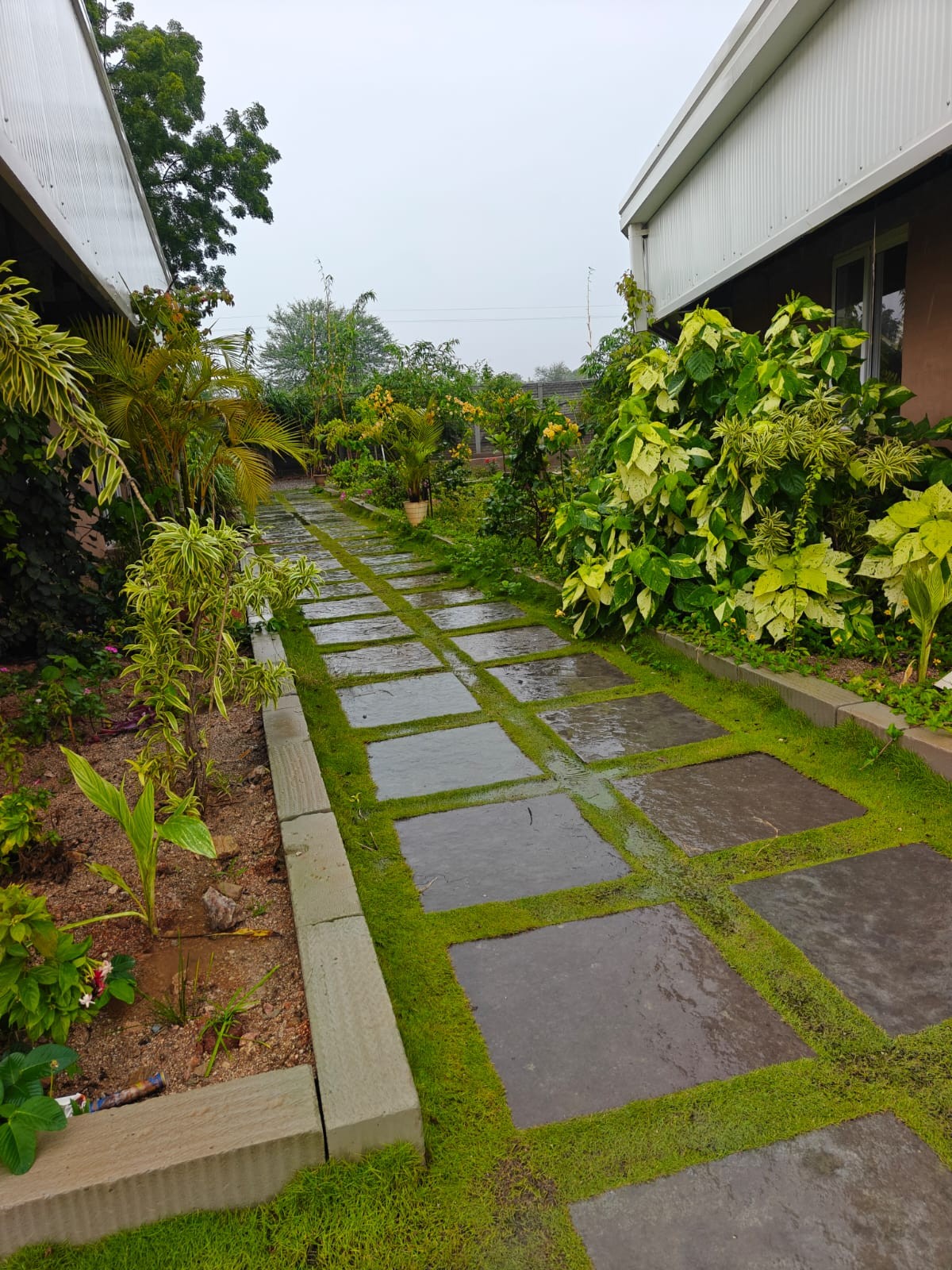 Top view of campus learning spaces